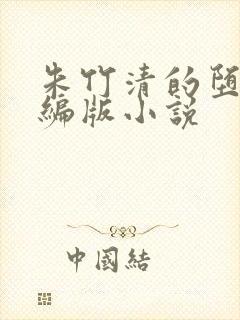 朱竹清的堕落改编版小说封面