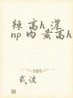 辣 高h 浓 np 肉 黄高h