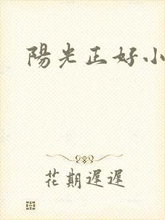 阳光正好小说封面
