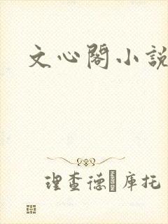文心阁小说封面