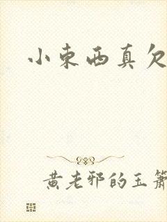 小东西真欠弄