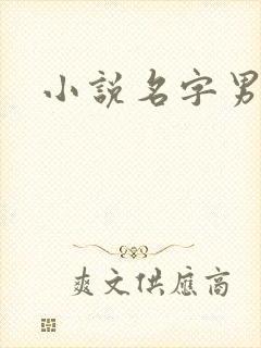 小说名字男生封面