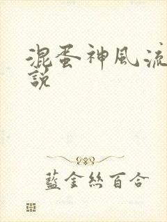 混蛋神风流史小说