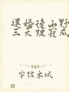 退婚后山野糙汉三天被宠成宝小说