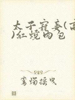 太子宠妾(高肉)红烧肉包