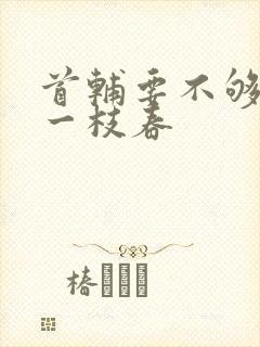 首辅要不够po一枝春