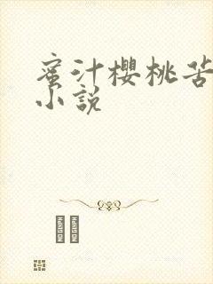 蜜汁樱桃苦咖啡小说