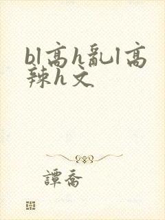 bl高h乱l高辣h文封面