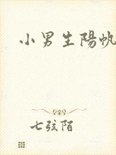 小男生阳帆