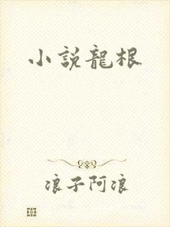 小说龙根封面