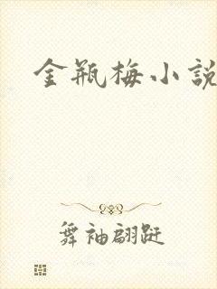 金瓶梅小说下载