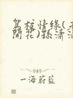 驾校情缘(老树开花)孙潇潇笔趣阁