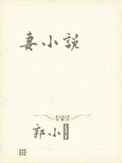 妻小说