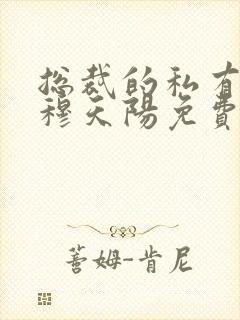 总裁的私有宝贝穆天阳免费
