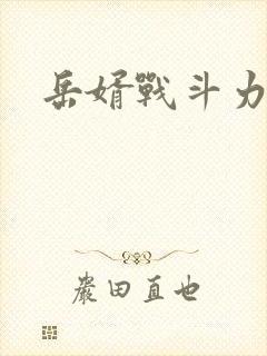 岳婿战斗力