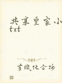 共享皇家小公主txt