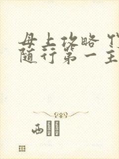 母上攻略 竹影随行第一主板封面
