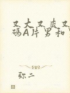又大又爽又黄无码A片男和男封面