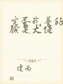 完蛋我养的小白脸是大佬