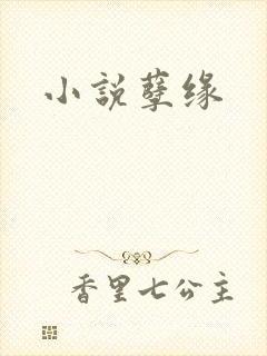 小说孽缘