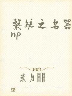 系统之名器攻略np