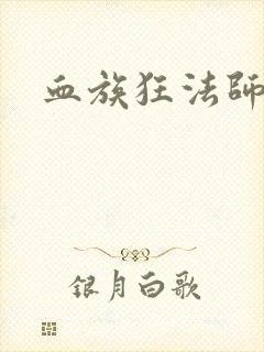 血族狂法师封面