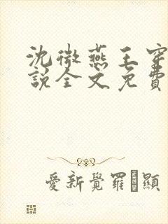 沈微燕王穿越小说全文免费阅读