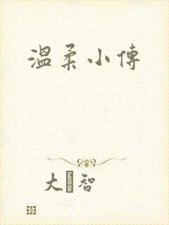 温柔小传