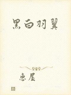 黑白羽翼