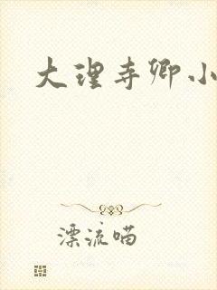 大理寺卿小说