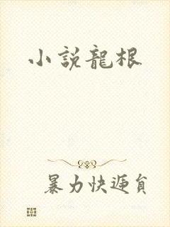 小说龙根