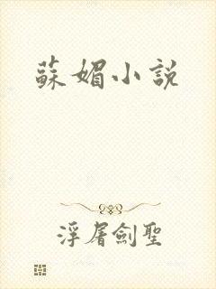 苏媚小说