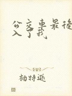 公交车最后一排入了我