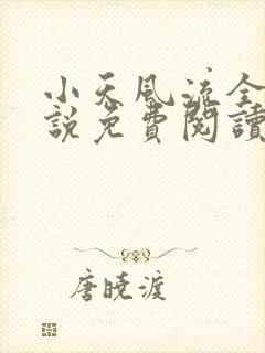 小天风流全集小说免费阅读封面