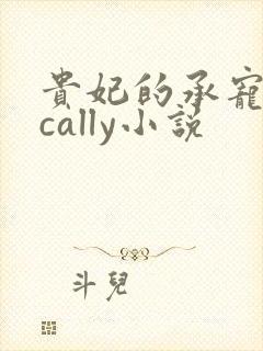 贵妃的承宠日常cally小说封面