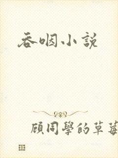 吞咽小说