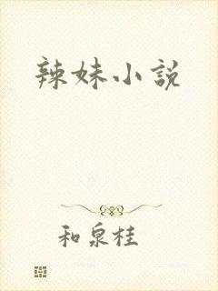 辣妹小说