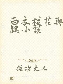 白衣校花与大长腿小说