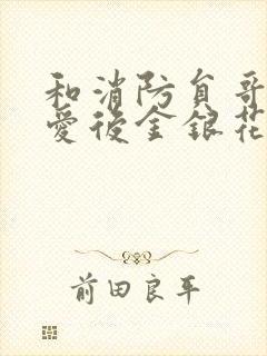 和消防员哥哥恋爱后金银花趣笔阁封面