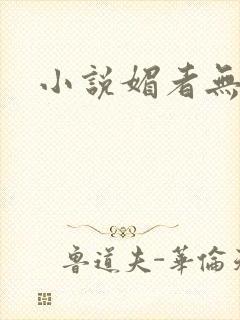 小说媚者无疆