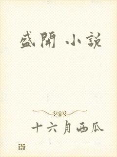 盛开 小说