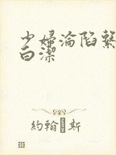 少妇沦陷系列之白洁封面