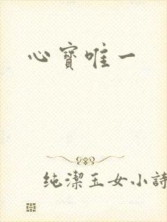 心宝唯一