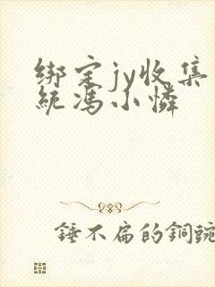 绑定jy收集系统冯小怜