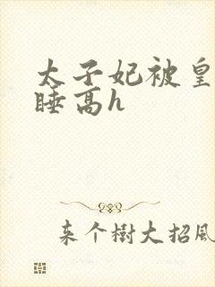 太子妃被皇上强睡高h封面
