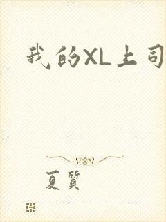 我的XL上司