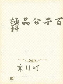 极品公子百度百科