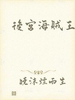 后宫海贼王
