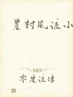 农村风流小说