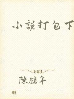 小说打包下载